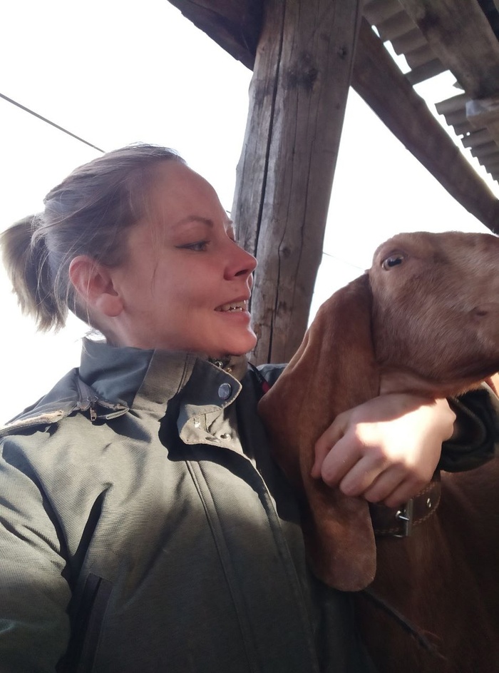 ������� �����! ������� ��� 37!