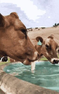       , , , 