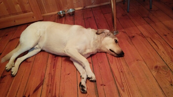 ����� �������, �� �������