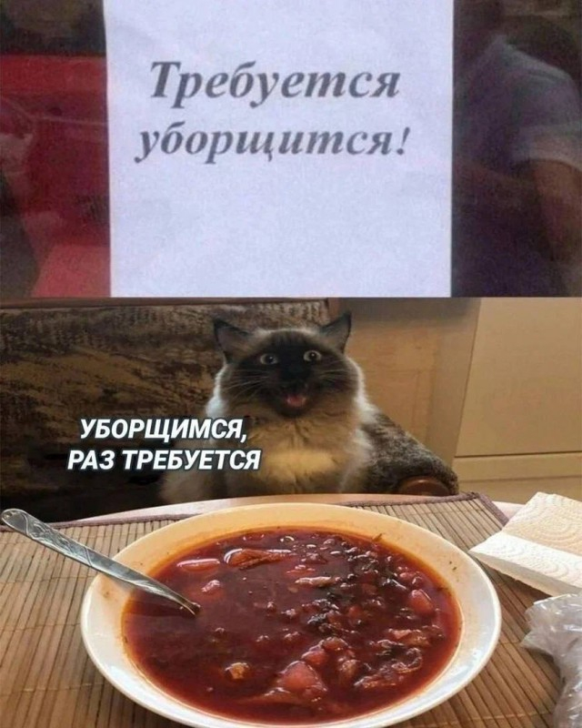 Вкусное и чистое