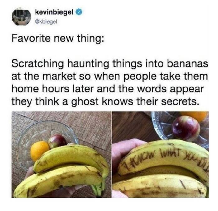 Любимое новое занятие: