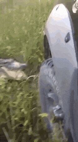     ,   , , , 