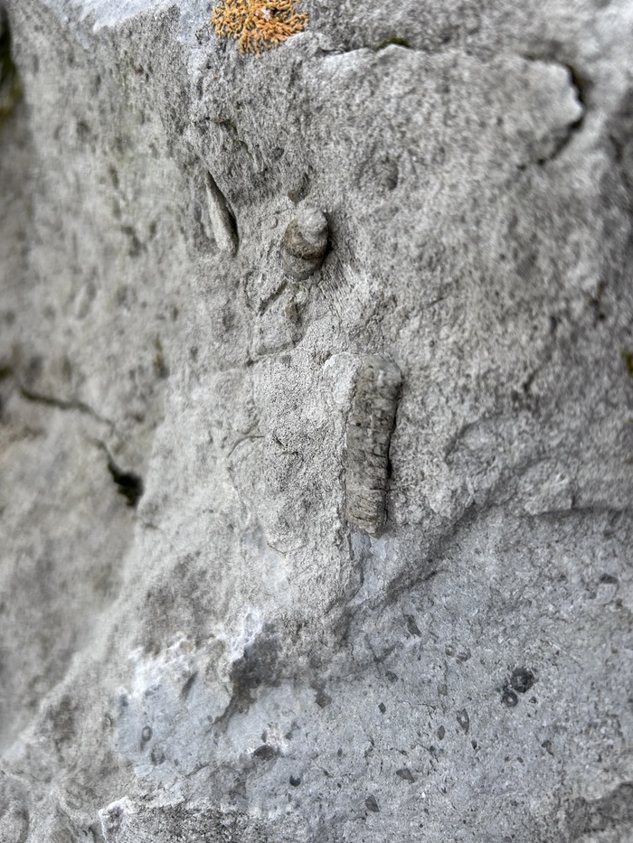 Видно не так хорошо, но это монолитный камень, уже все подстерлось.