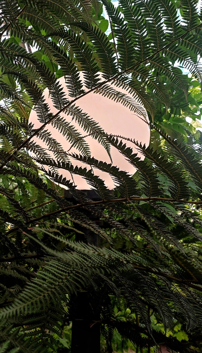 , ,  ... , , , , ,  , , ,  