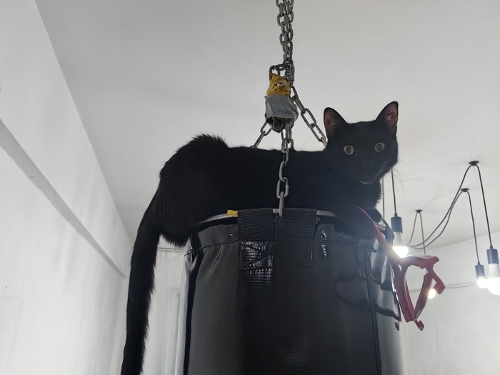      ,     , ,  ,   ,   , 