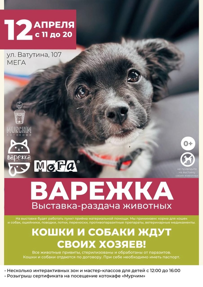 🔥 ��������-������� �������� �������� ����� � ������������!