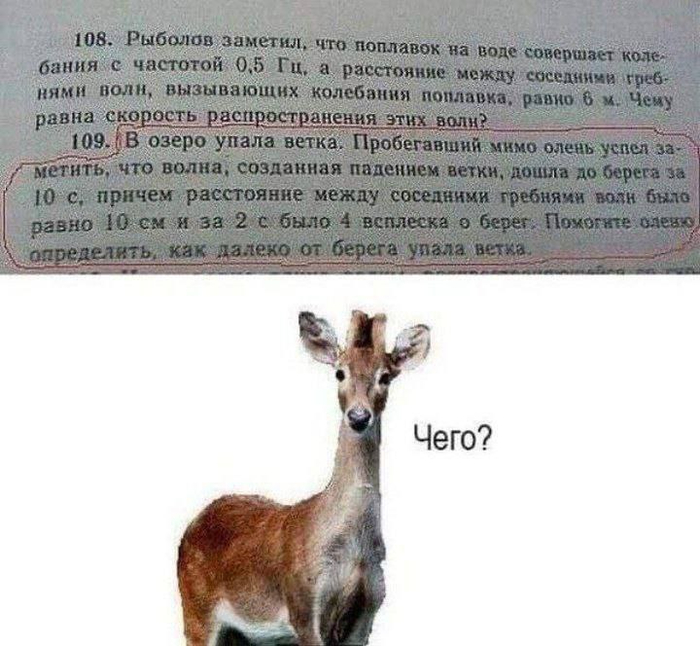   4  , ,  , , Telegram (), 