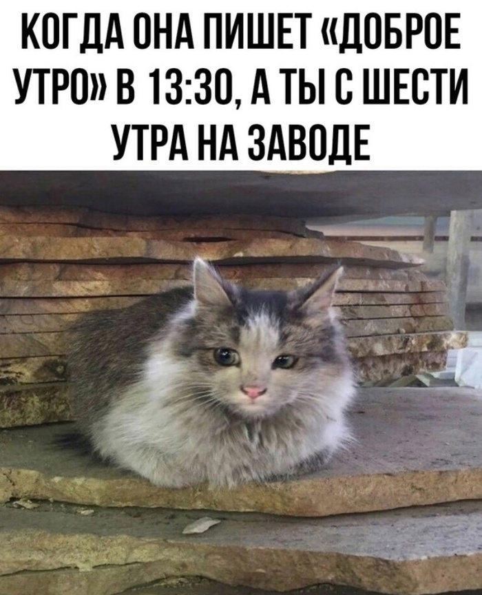  , , ,   , 