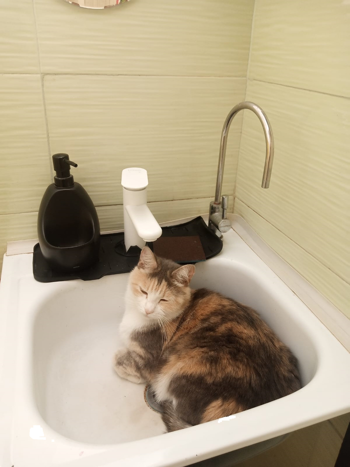  ,  ,  , ,  , 
