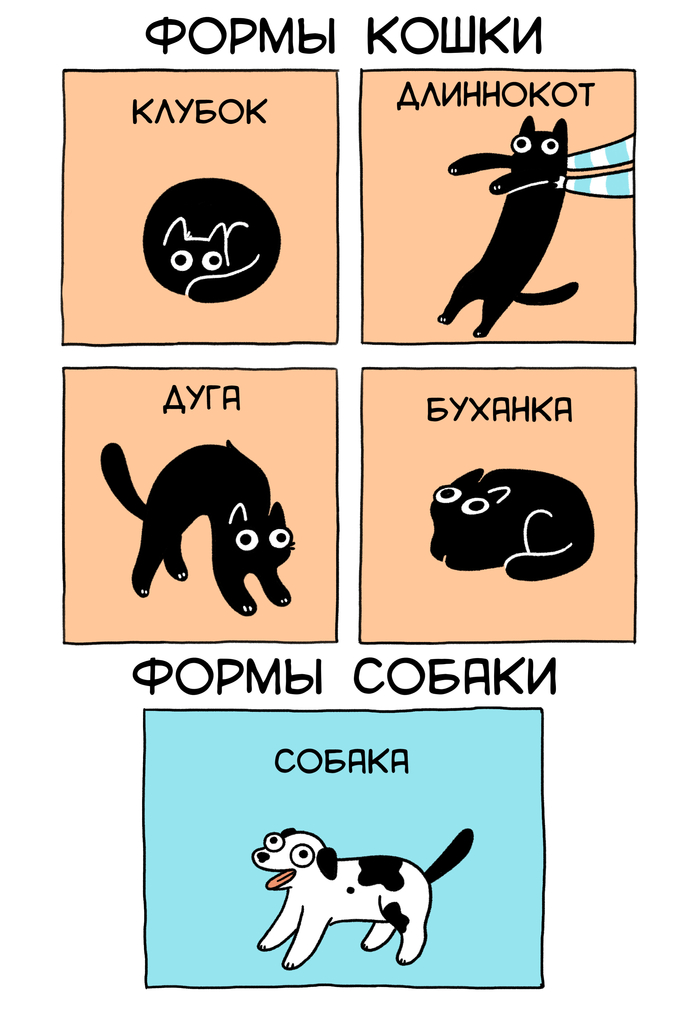  ,  ,  , , , , ,  