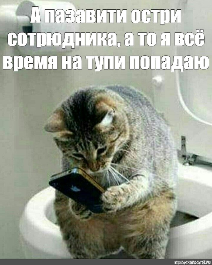 Что такое шушинки?