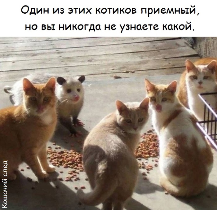 Ещё никогда Штирлиц не был так близок к провалу