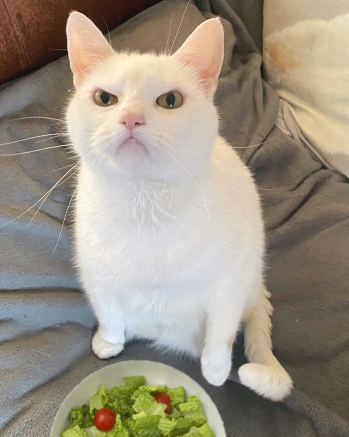  , !? , , , , ,  ,  , 