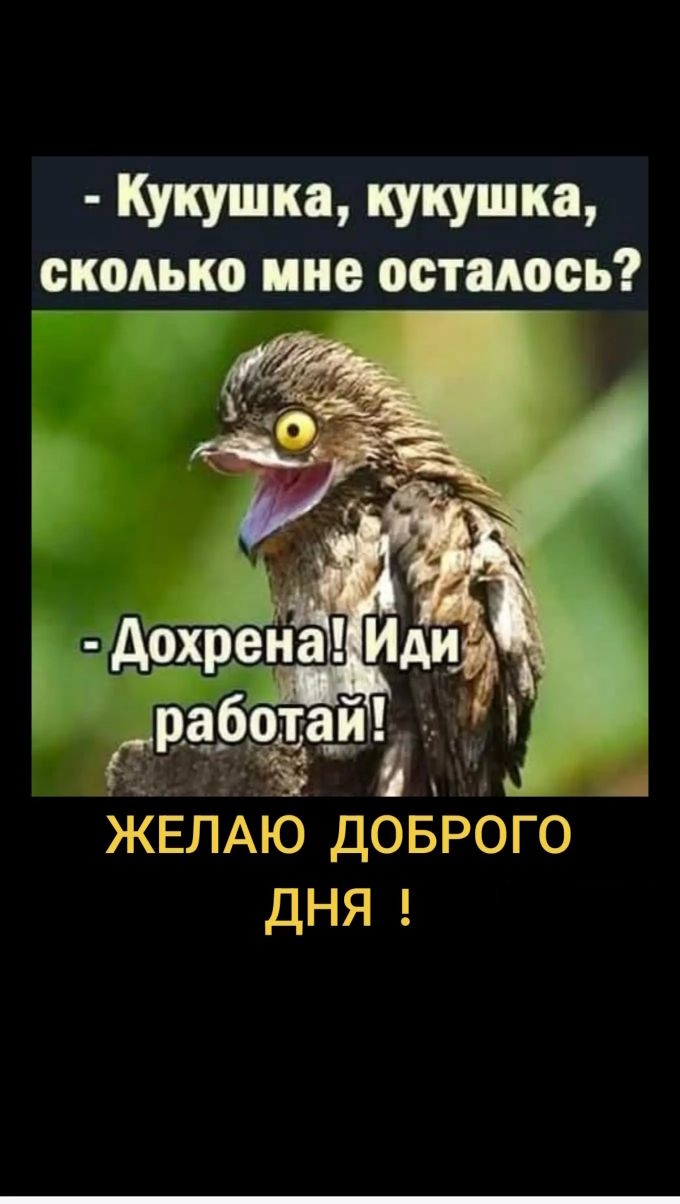   ,   , 