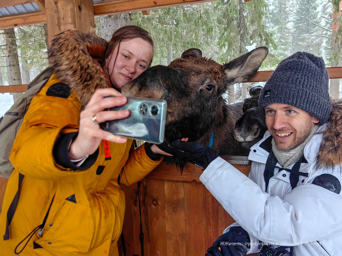 Мои коллеги и друзья по Медиаразведке
