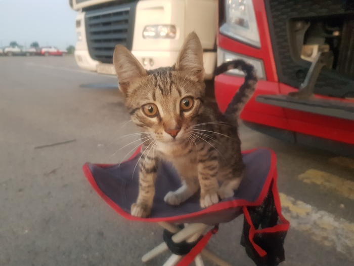   ,  10   ,  ,   , 