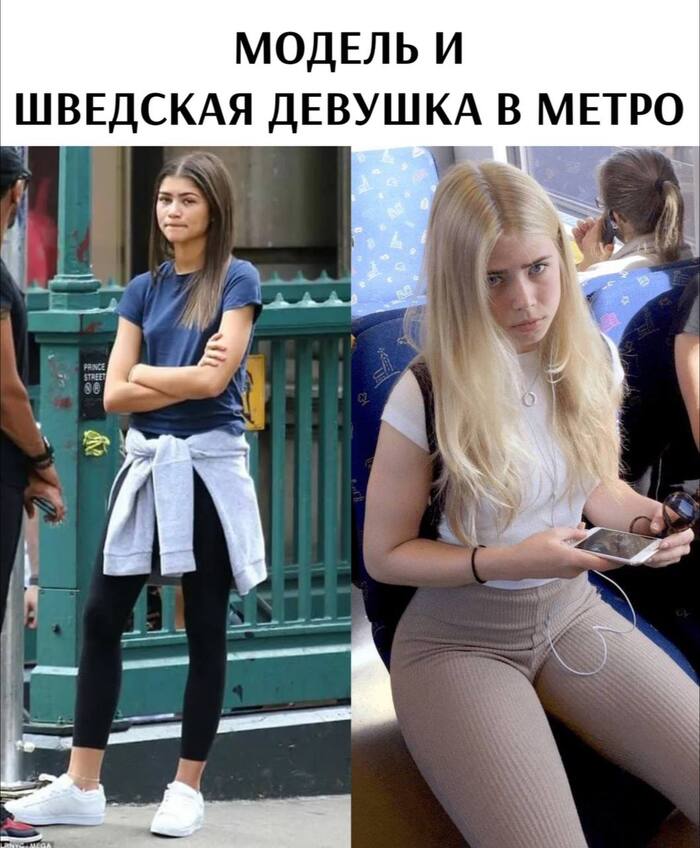  ... ,   , , , , , , Telegram ()