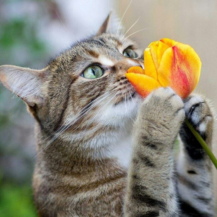      , , , , , ,  ,  