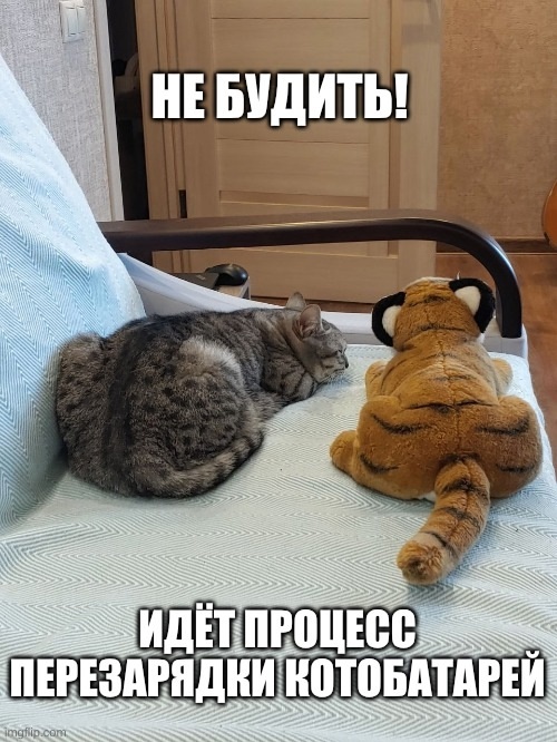 ��� � ������ ����