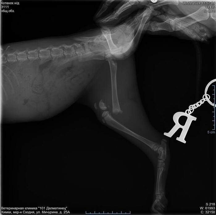 ������� �� 09.2024, ����� �� ���������