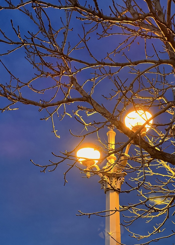 Свет фонаря