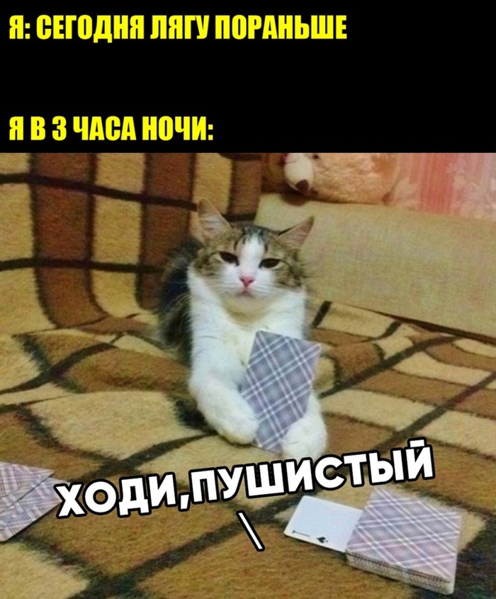    , , ,  