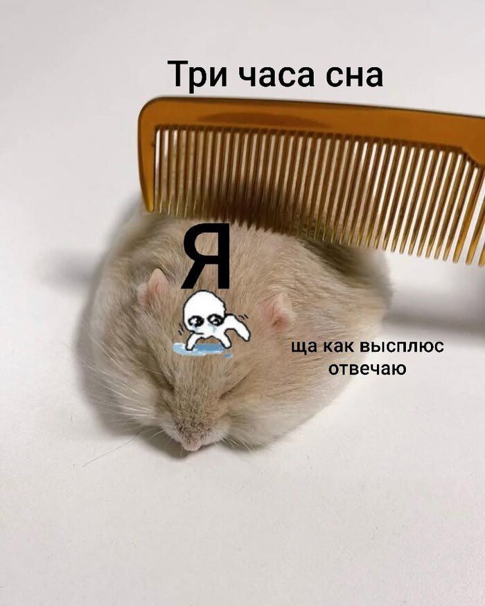       , , ,   , , , , , ,  ,  , 