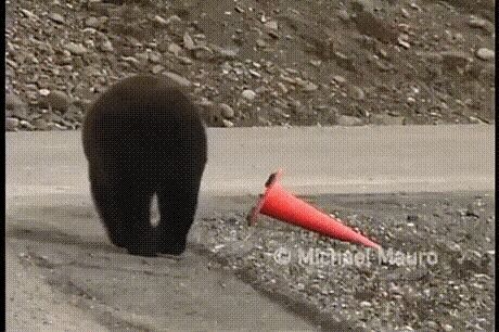 . -    ?
