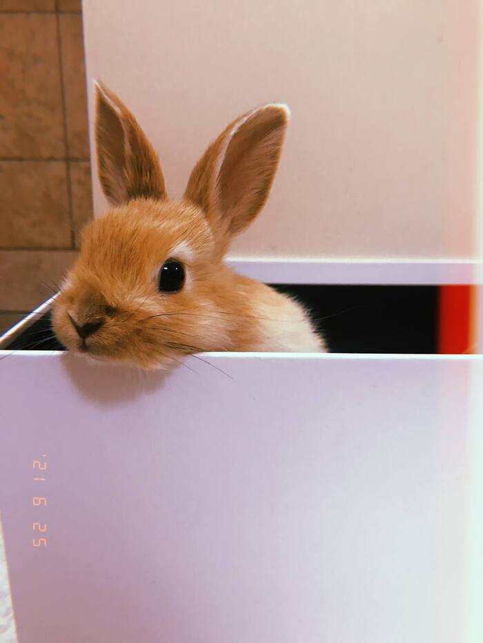  , , ,  , ,  ,  ,  