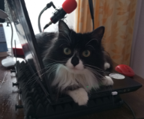 ������� �� �����