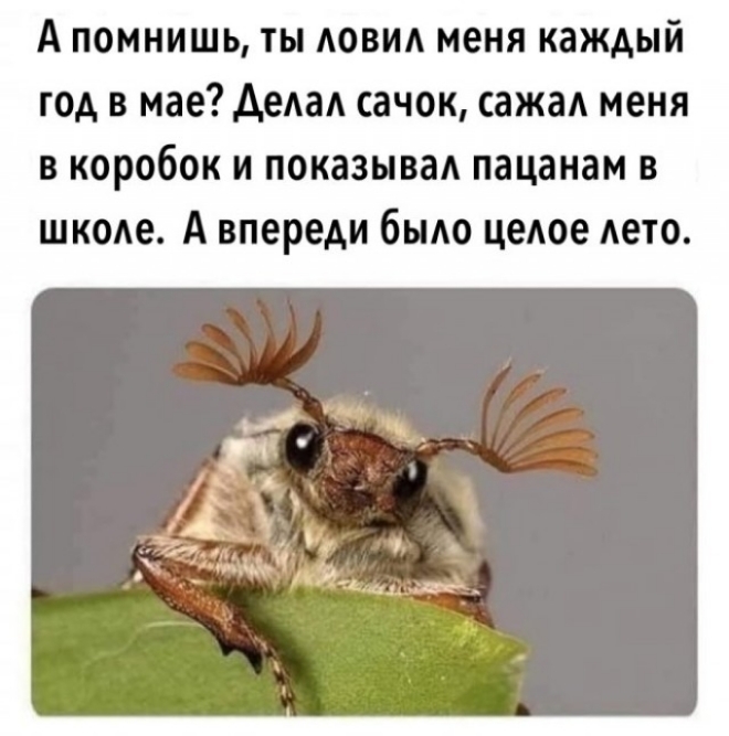 Нет. Да никто так не делал. Откуда это взялось??