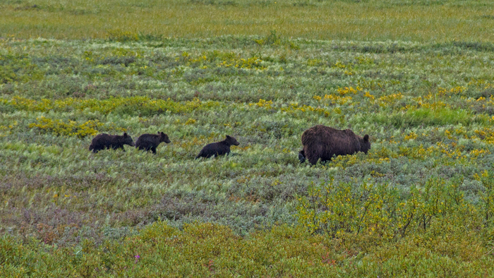 Кальдера Узон, Камчатка