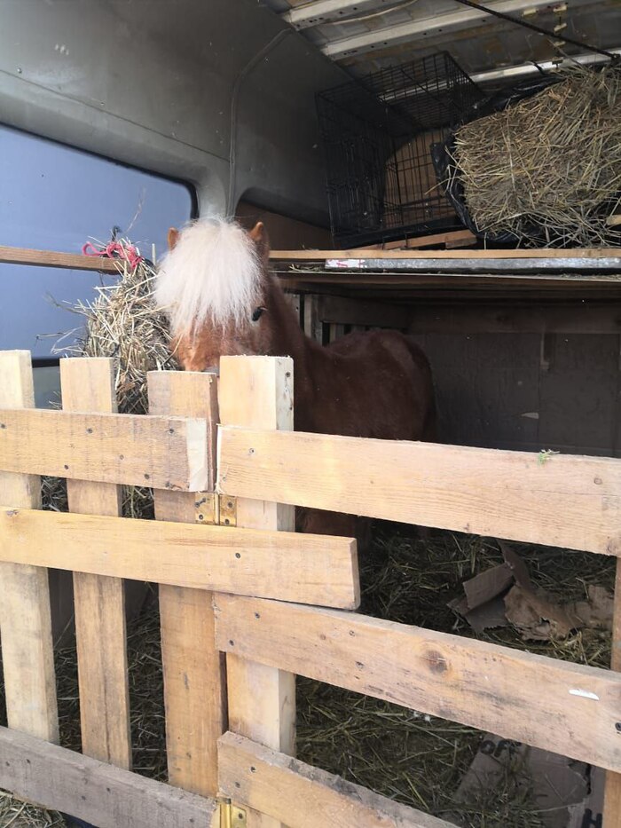 ������� �����: � ��� ���� �������!