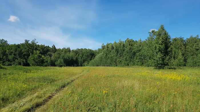 Красивый вид