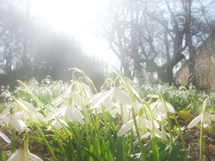 Весенний полдень