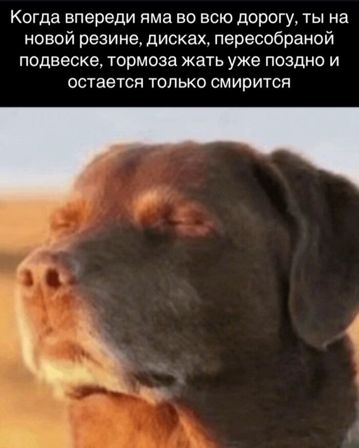   ...  , , , ,  , 