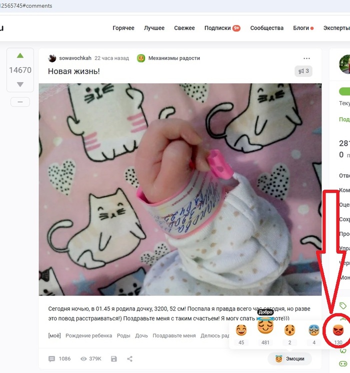 , ,    ? ,  , ,  , 