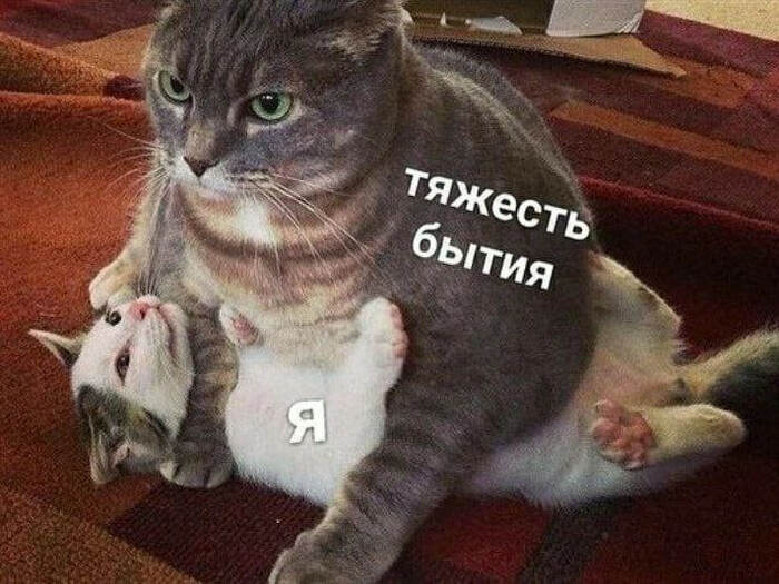 :       , , , , , , , , ,  , - , , , , 