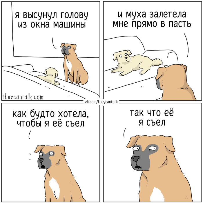   ,   Theycantalk, ,  , , , 