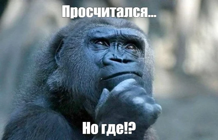 Свой бизнес Школа, Прибыль, Бизнес, Малый бизнес, Истории из жизни, Каникулы