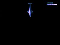 []    \ Ecco the Dolphin (2004) Ecco, Ecco the dolphin, Sega Mega Drive, , 