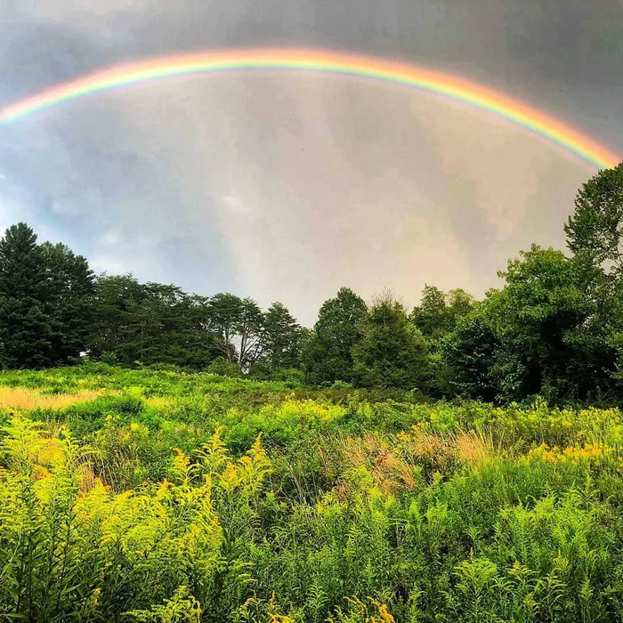 Rainbow , 