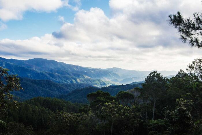 Национальный парк Армандо Бермудес - крупнейший в Доминиканской республике