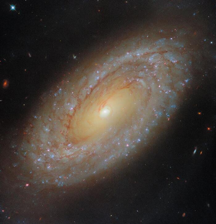      NGC 4941,     , , , , , , NASA, 
