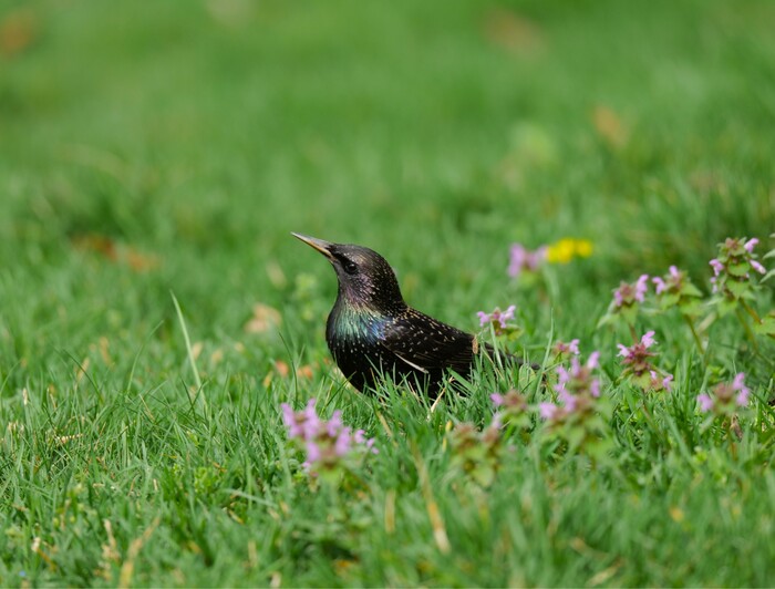 �������