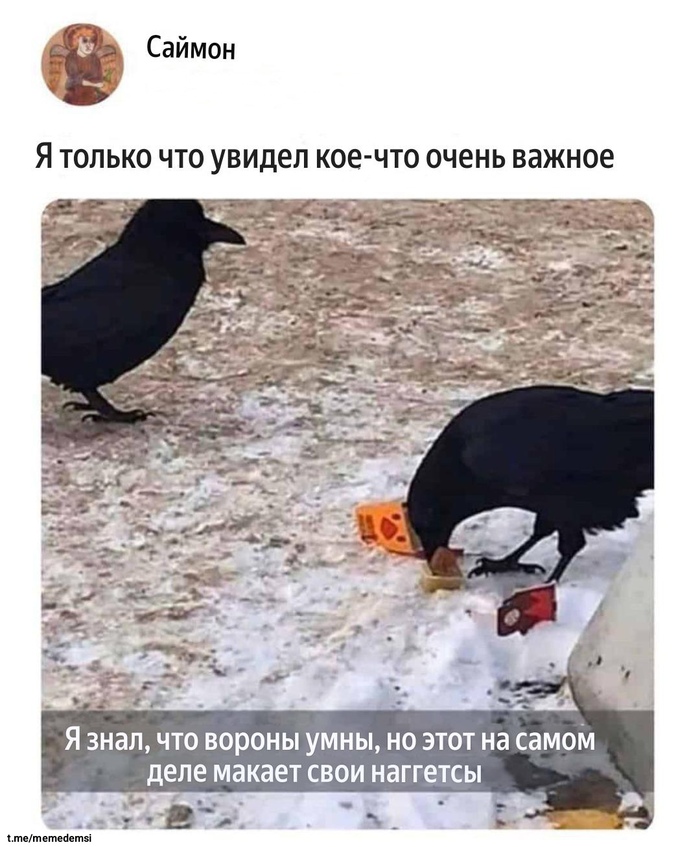        ,   , , , , ,  , , Telegram ()