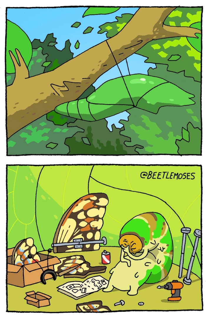    , , , 