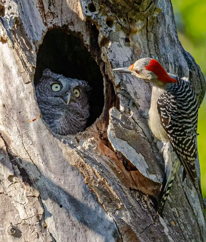      , ,  , , , , 