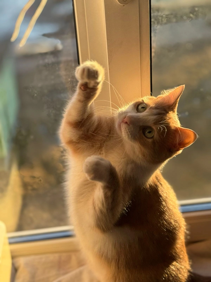 .    ! - ,  ,  , ,  , ,  ,   