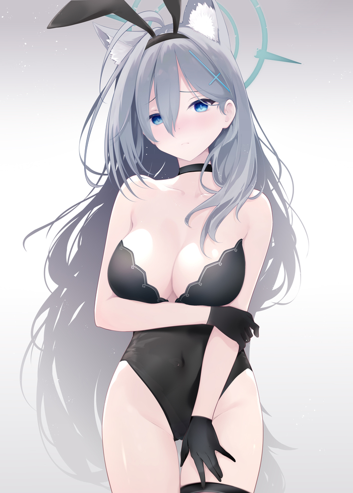Terror Anime Art, , Blue Archive, Shiroko Terror, Animal Ears, Bunnysuit